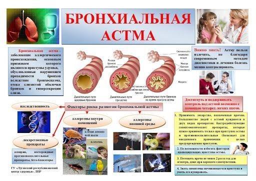 Степени и формы бронхиальной астмы - 2