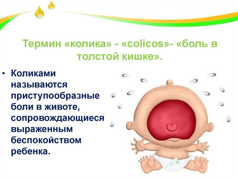 Термин 