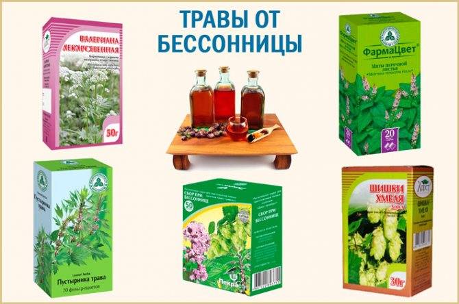 Лучшие травы при лечении бессонницы - 3