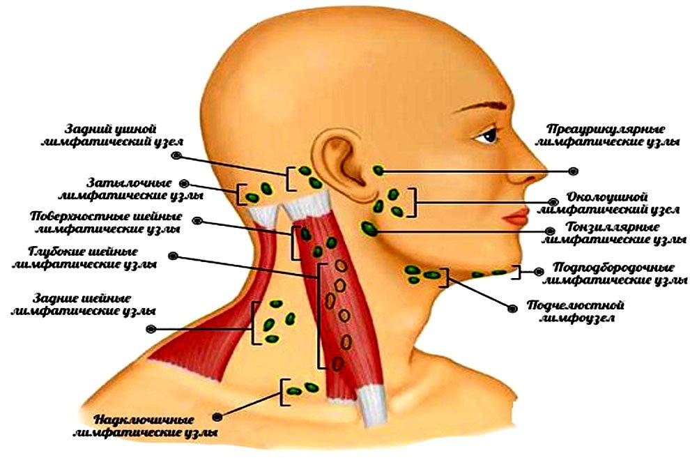 Увеличение лимфатических узлов у детей