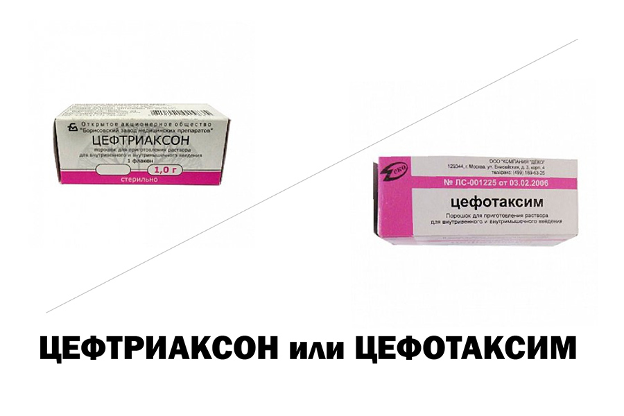 Цефтриаксон или Цефотаксим - что лучше?