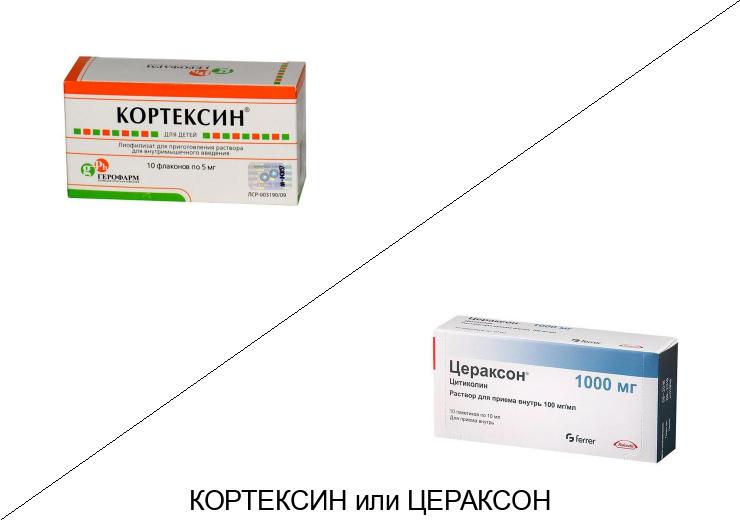 Что лучше Цераксон или Кортексин?