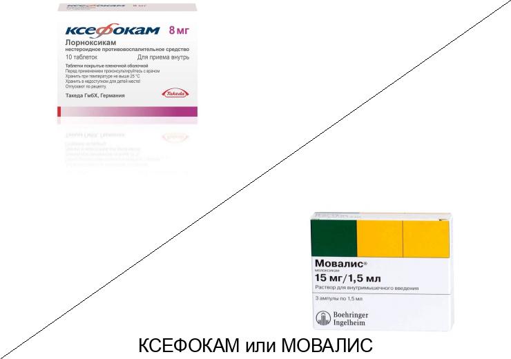 Что лучше Ксефокам или Мовалис?
