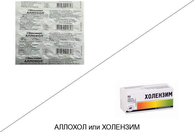 Что лучше Аллохол или Холензим?
