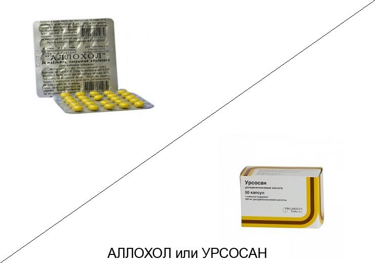 АЛЛОХОЛ или УРСОСАН - 1