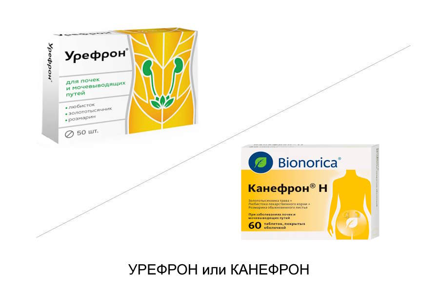 Что лучше Канефрон или Урефрон?