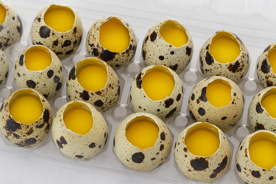 Польза перепелиных яиц-3 Польза перепелиных яиц-3