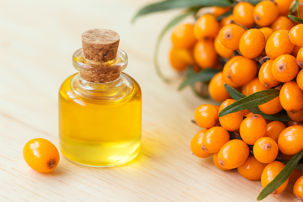 Облепиховое масло: польза и вред для организма Облепиховое масло: польза и вред для организма