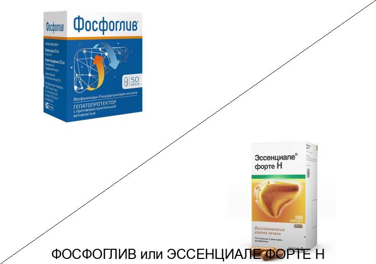 Что лучше Эссенциале форте н или Фосфоглив? Что лучше Эссенциале форте н или Фосфоглив?