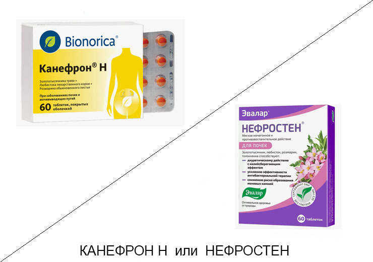Что лучше Канефрон н или Нефростен? Что лучше Канефрон н или Нефростен?