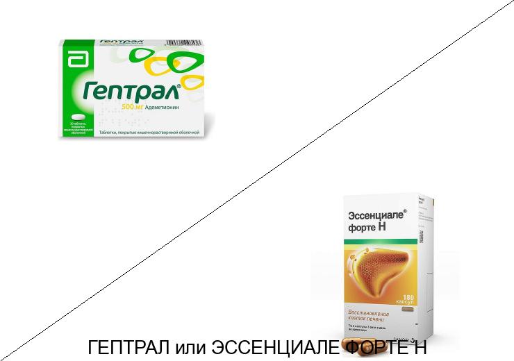 Что лучше Гептрал или Эссенциале форте н? Что лучше Гептрал или Эссенциале форте н?