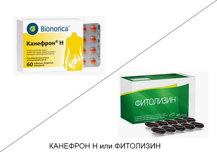 Что лучше Канефрон н или Фитолизин? Что лучше Канефрон н или Фитолизин?