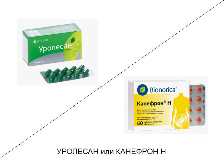 Что лучше Уролесан или Канефрон н?
