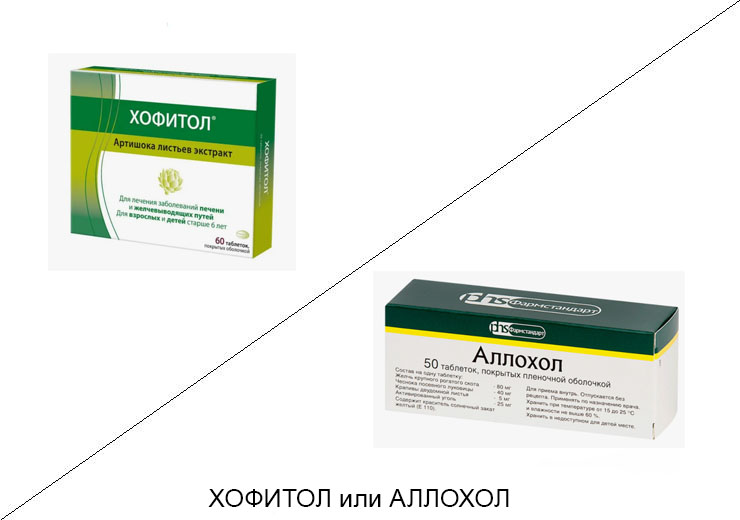 Хофитол или Аллохол: что лучше и в чём разница