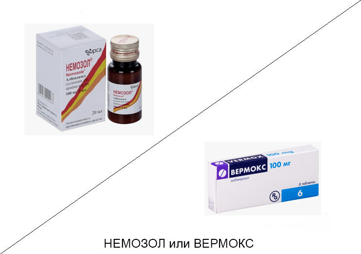 Немозол или Вермокс: что лучше и в чём разница