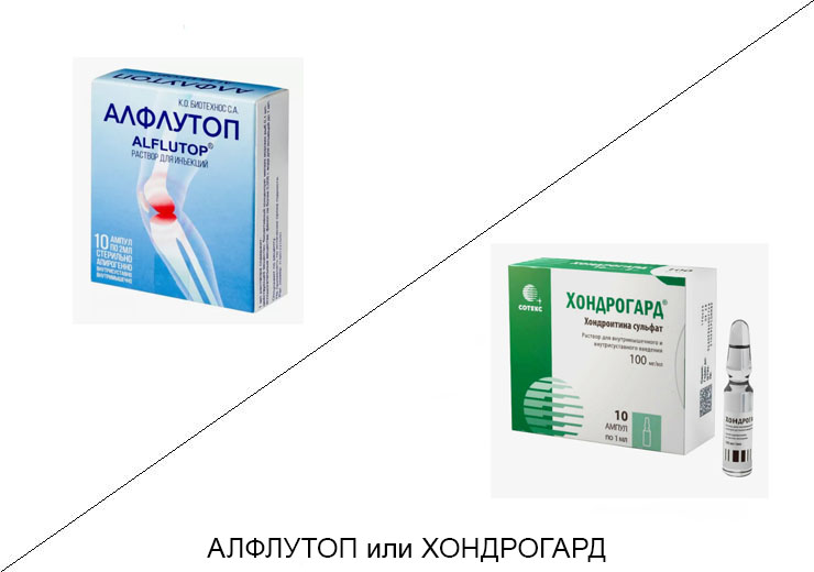 Алфлутоп или Хондрогард: что лучше и в чём разница