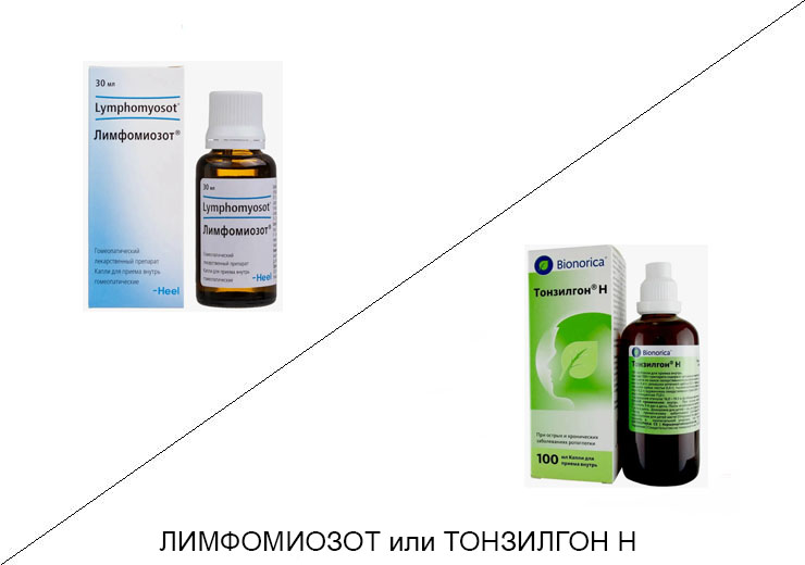 Лимфомиозот или Тонзилгон: что лучше и в чём разница