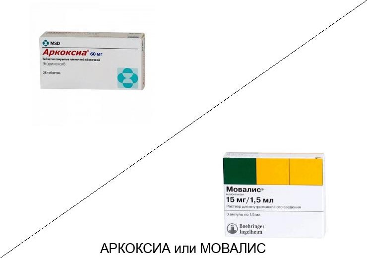 Мовалис или Аркоксиа: что лучше и в чём разница