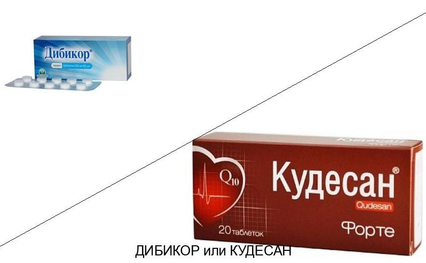 Дибикор или Кудесан: что лучше и в чём разница Дибикор или Кудесан: что лучше и в чём разница