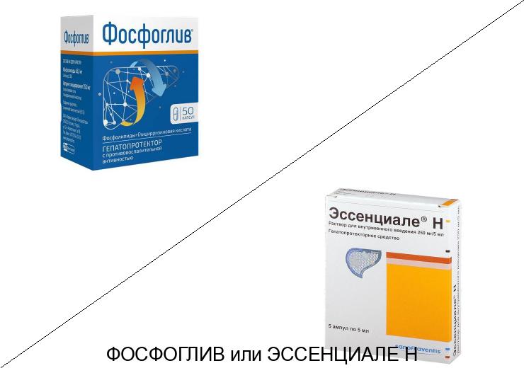 Эссенциале или Фосфоглив: что лучше и в чём разница