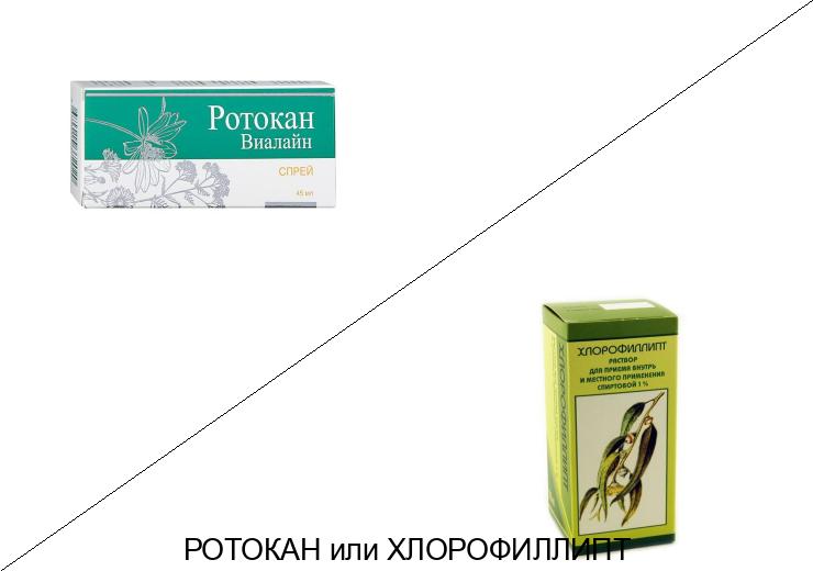 Ротокан или Хлорофиллипт: что лучше и в чём разница
