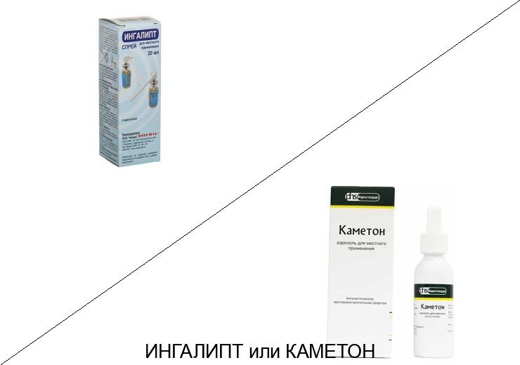 Каметон или Ингалипт: что лучше и в чём разница