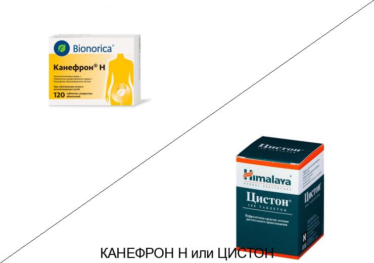 Цистон или Канефрон: что лучше и в чём разница Цистон или Канефрон: что лучше и в чём разница