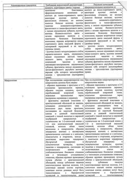 12602-Сертификат Сбор успокоительный №3 фильтр-пакеты, 2 г 20 шт-2