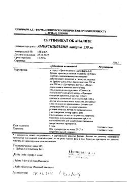 12783-Сертификат Амоксициллин, капсулы 250 мг 16 шт-29