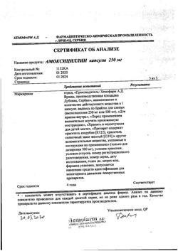 12783-Сертификат Амоксициллин, капсулы 250 мг 16 шт-39