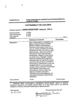 12783-Сертификат Амоксициллин, капсулы 250 мг 16 шт-8