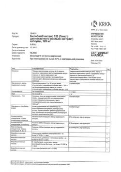 13184-Сертификат Билобил Интенс, капсулы 120 мг 20 шт-1