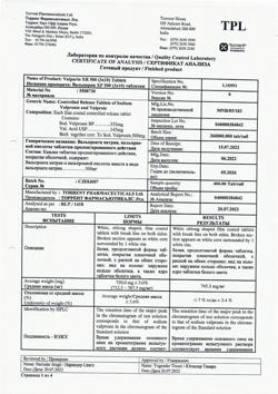 Вальпарин Хр 300 Купить