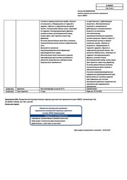 15310-Сертификат Каметон, аэрозоль для местного применения 45 г 1 шт-34