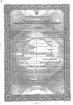 Сертификат ГИЗААР ФОРТЕ ТАБЛЕТКИ ПОКРЫТЫЕ ОБОЛОЧКОЙ 100 МГ+12,5 МГ   №28-1
