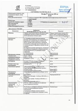 17301-Сертификат Ноофен, капсулы 250 мг 20 шт-4