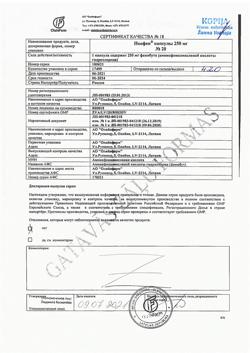 17301-Сертификат Ноофен, капсулы 250 мг 20 шт-6