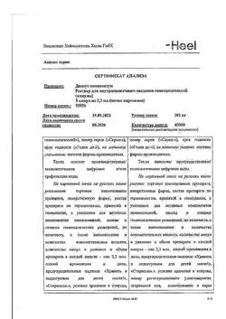 17556-Сертификат Дискус композитум, раствор для в/м введ. 2,2 мл 5 шт-31