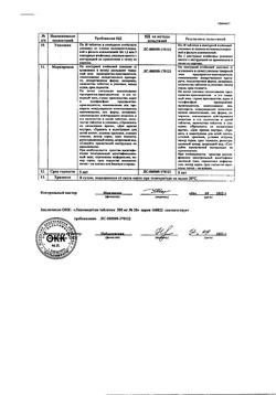 17696-Сертификат Левомицетин, таблетки 500 мг 20 шт-43