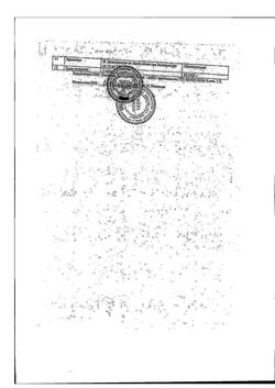 18131-Сертификат Пустырника, настойка 25 мл 1 шт-6