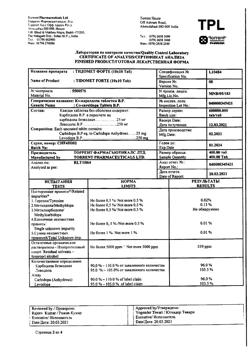 19481-Сертификат Тидомет Форте, таблетки 250 мг+25 мг  100 шт-33