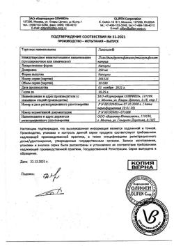 21891-Сертификат Гипоксен, капсулы 250 мг 30 шт-17