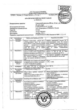 21891-Сертификат Гипоксен, капсулы 250 мг 30 шт-24