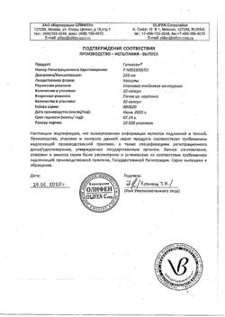 21891-Сертификат Гипоксен, капсулы 250 мг 30 шт-27