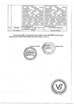 21891-Сертификат Гипоксен, капсулы 250 мг 30 шт-22