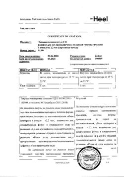 24131-Сертификат Эхинацея композитум СН, раствор для в/м введ. 2,2 мл амп инд.уп. 5 шт.-7
