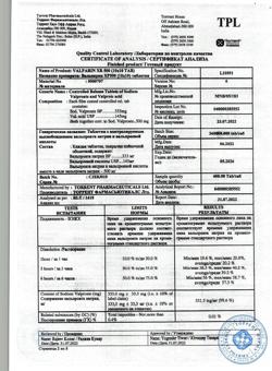25679-Сертификат Вальпарин ХР, таблетки пролонг действия покрыт.плен.об. 500 мг 100 шт-19
