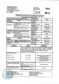 Вальпарин Хр 300 Купить