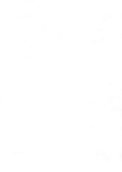 27386-Сертификат Флуимуцил-антибиотик ИТ, лиофилизат д/приг раствора для иньекций и ингаляций 500 мг фл 3 шт-147