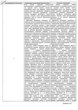 28234-Сертификат Сбор грудной №4 фильтрпакетики, фильтр-пакеты 2 г 20 шт-13